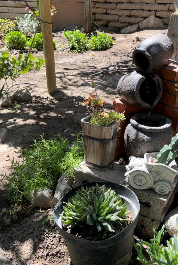 Casa Doris Villa Vicuña Kültér fotó