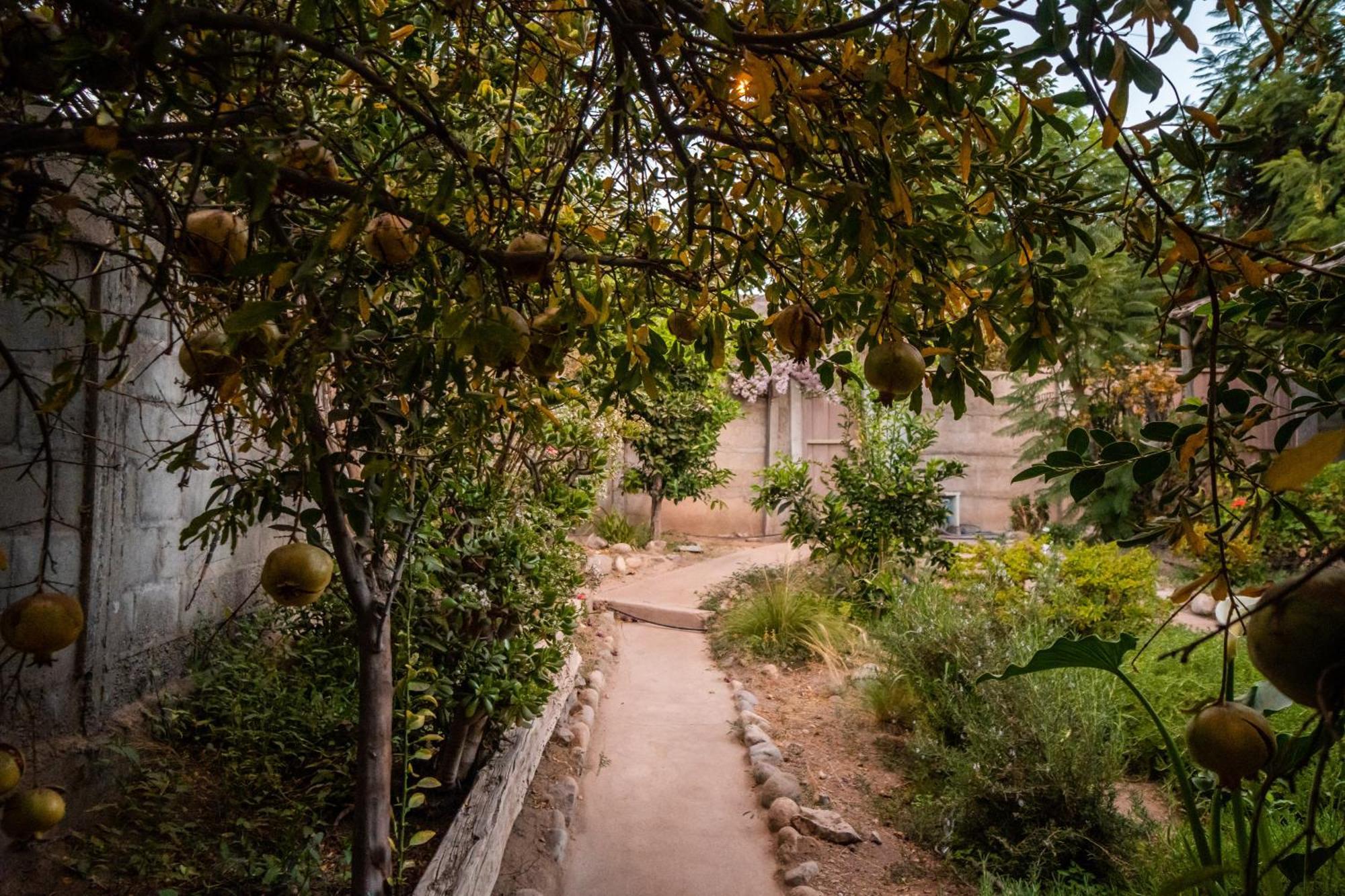 Casa Doris Villa Vicuña Kültér fotó